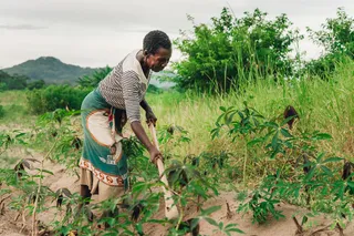 Breaking Barriers in the Field: How Good Nature Agro is Boosting Women’s Leadership in Agricultural Extension