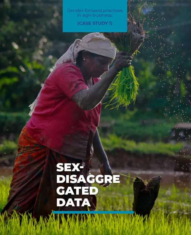 Gender-Forward Practises in Agri-Business: Sex-Disaggregated Data (Case Study 1)