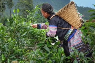 Increasing Representation of Women in the Workforce through Gender-Inclusive Recruitment