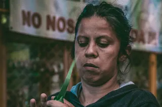 Gender Inclusion within Agriculture-Based SGBs in Mexico